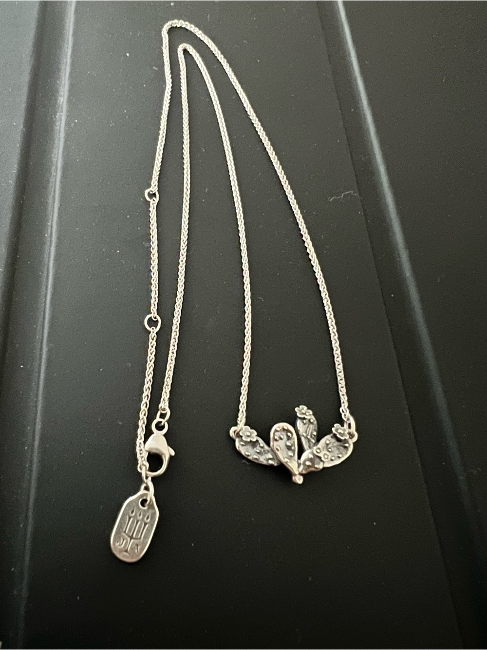 James Avery retired prickly pear Necklace